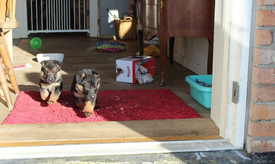 Hello Sunshine - Der er en verden udenfor!