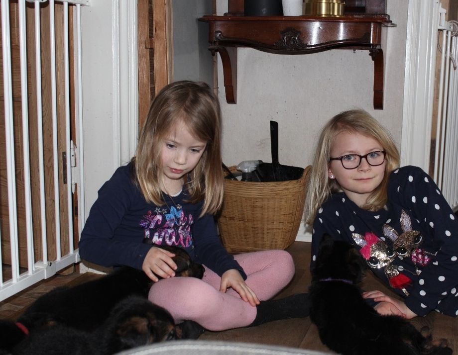 Victoria og Celina hjælper altid med socialisering af vores hvalpe.