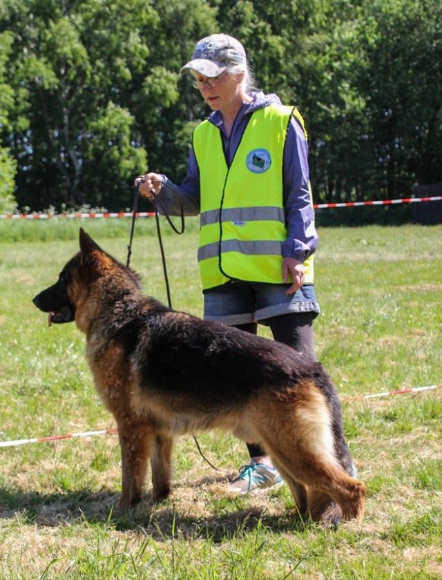 Baxter vom Türkheimer Schloss 
SG1 på skue i Kreds 22 i 2021